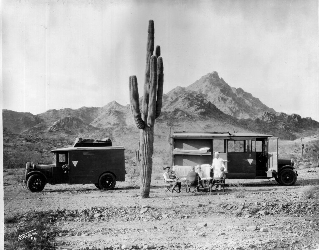 A truck and car parked in front of a cactus.